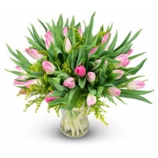 Ernestine - pink tulip (Small)
